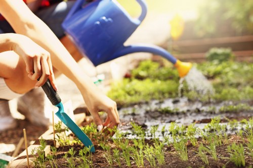Gardener inspecting a residential garden with tools