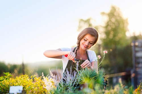 Gardener watering plants in an Enfield backyard