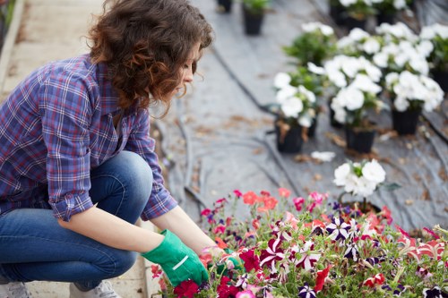 Gardening service team discussing a maintenance plan in a front garden
