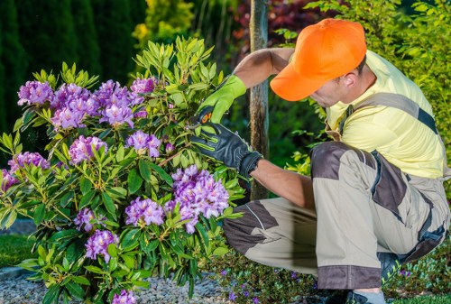Environmentally responsible tree services