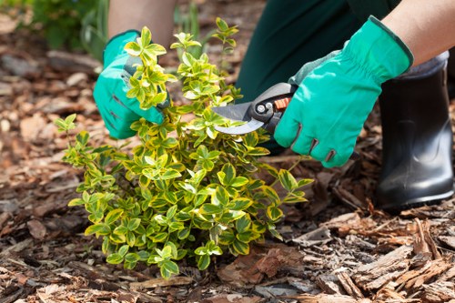 Tools used for efficient garden clearance in Enfield