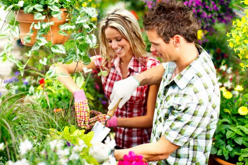 Lush garden with native and drought-resistant plants thriving in Enfield