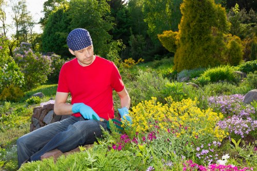 Lush green Enfield garden with diverse plants