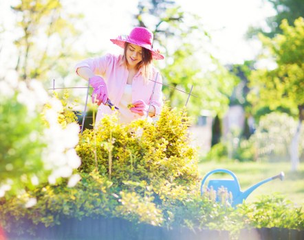 Gardener wearing PPE including gloves and high-visibility jacket inspecting a hedge