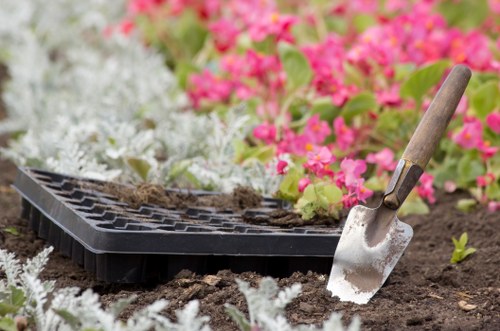 Seasonal flowers blooming in Enfield garden