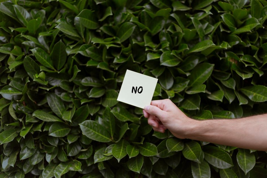 A close-up view of a well-maintained garden hedge composed of dense, glossy green leaves with smooth textures, showing a mix of dark and lighter green shades. In the foreground, a person's hand is hol